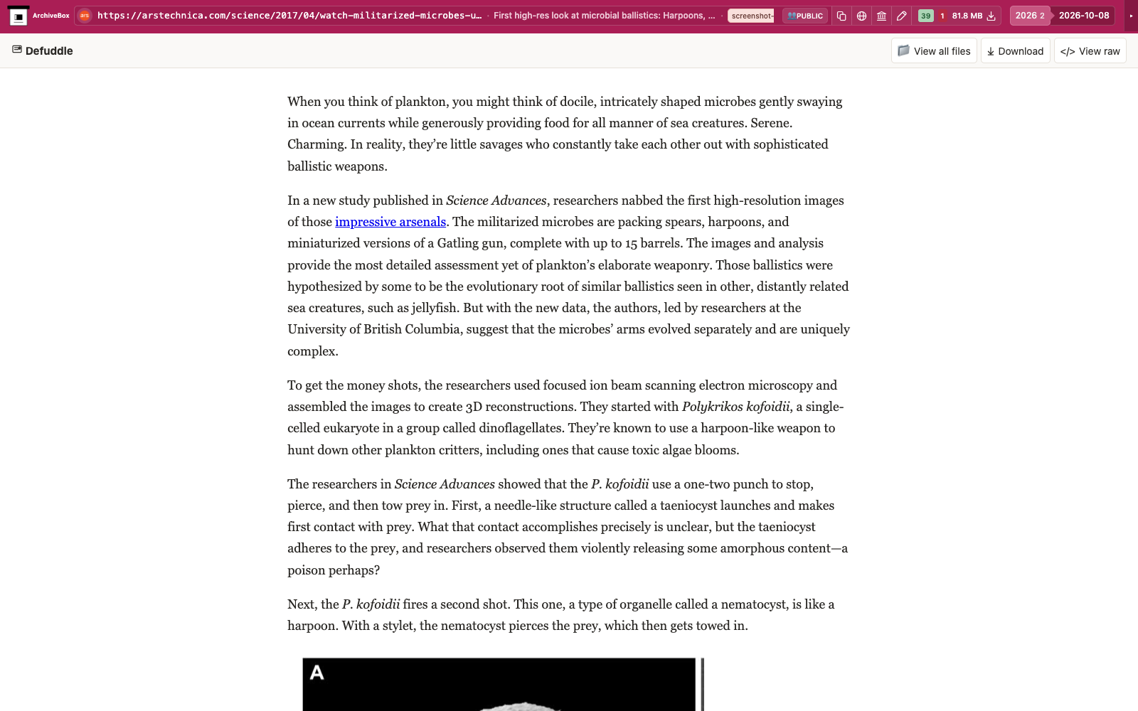 Snapshot View (defuddle) — desktop