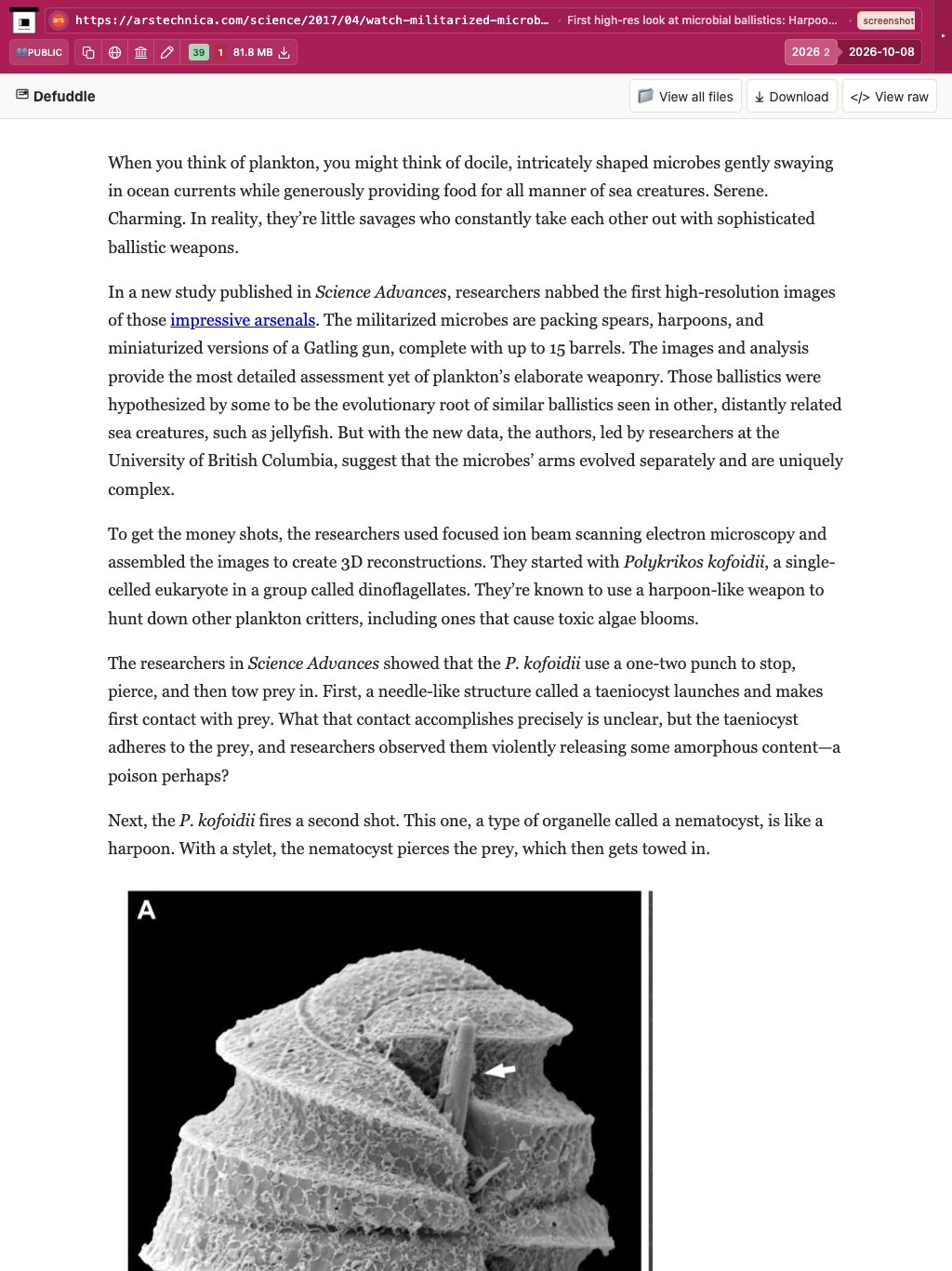 Snapshot View (defuddle) — tablet