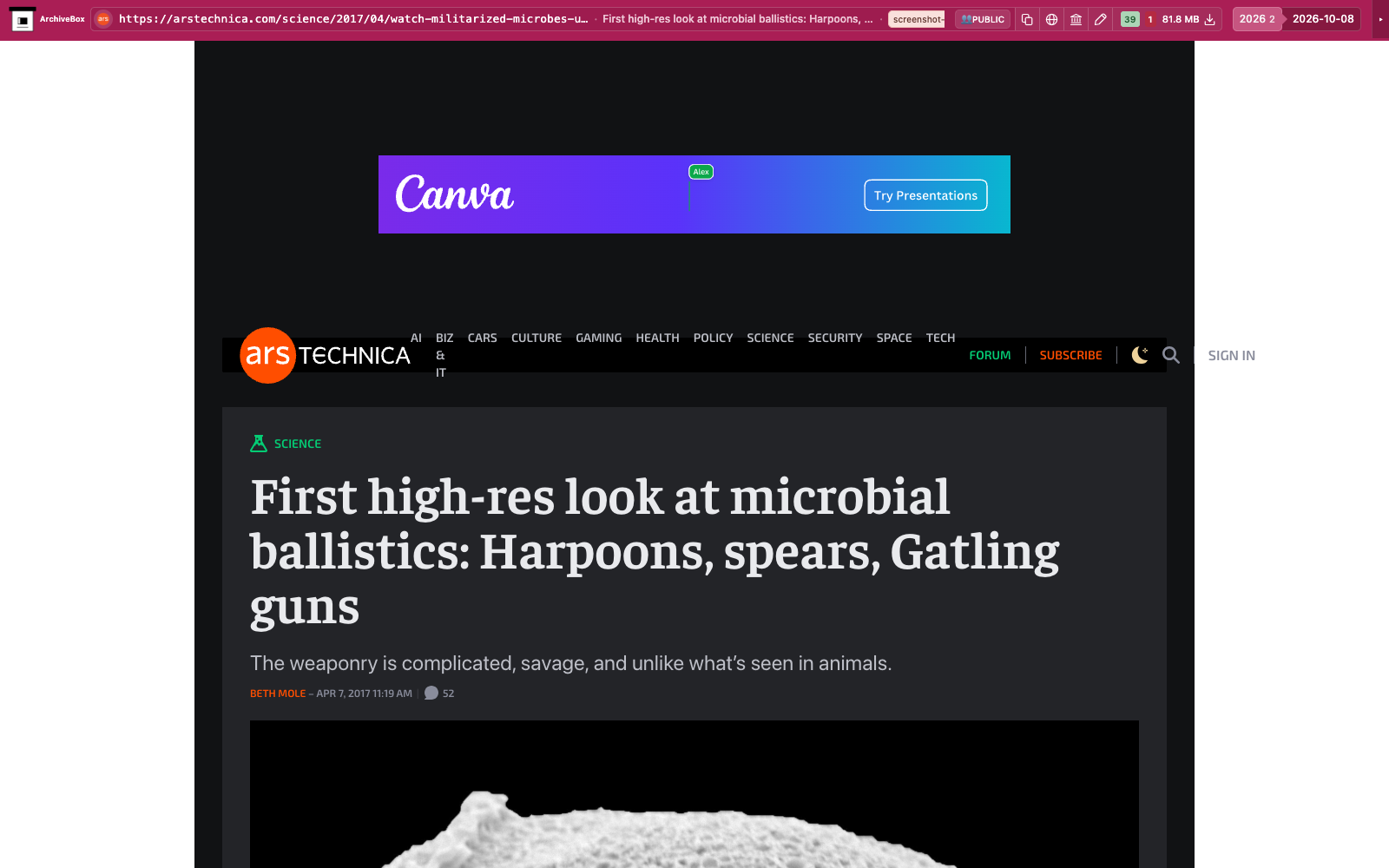 Snapshot View (dom) — desktop