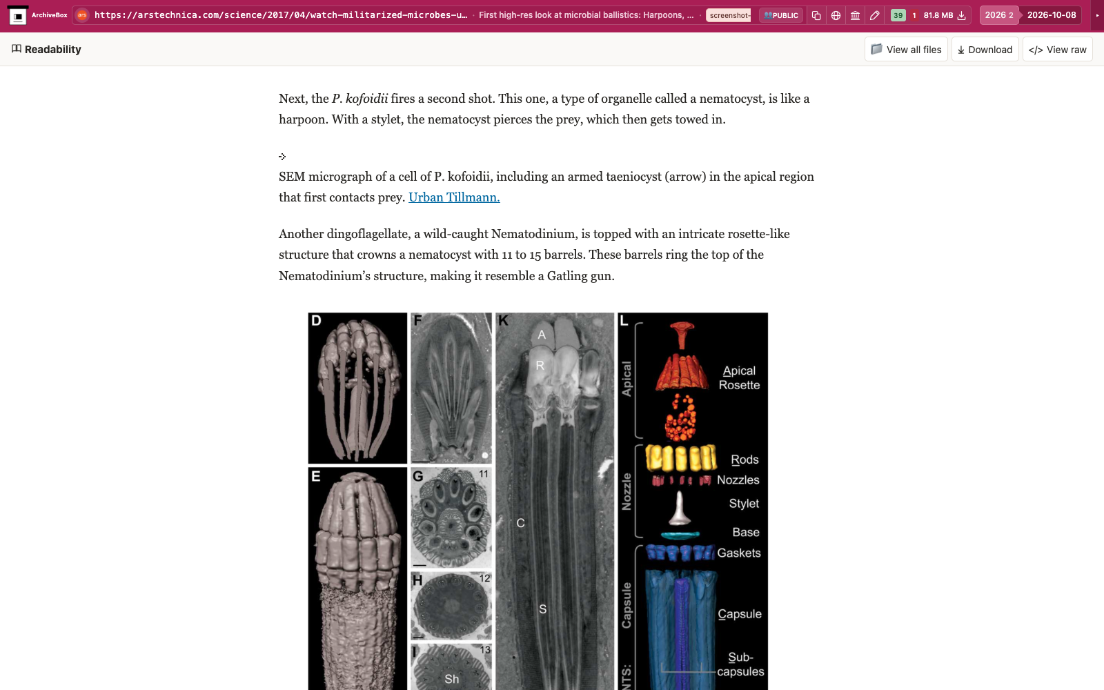 Snapshot View (readability) — desktop