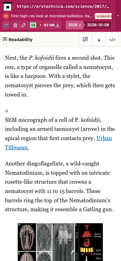 Snapshot View (readability) — mobile