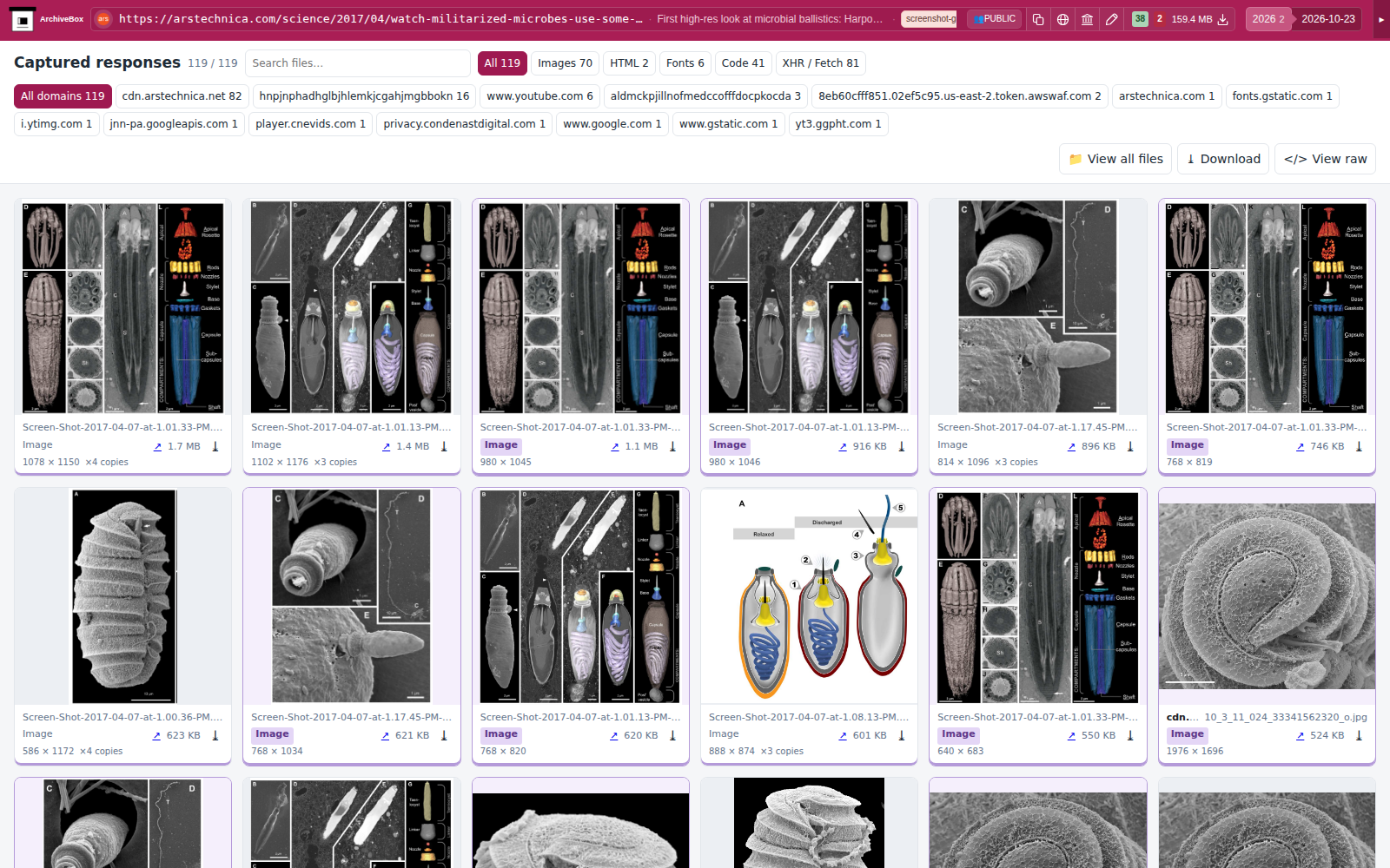 Snapshot View (responses_html) — desktop