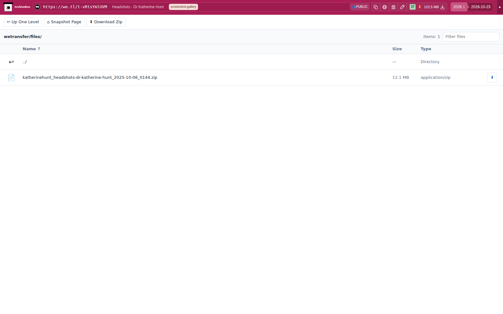 Snapshot View (wetransfer) — desktop