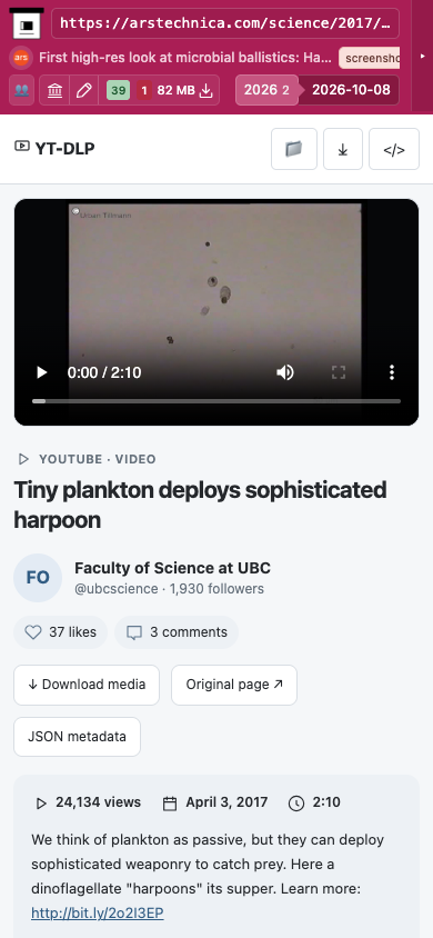 Snapshot View (ytdlp) — mobile